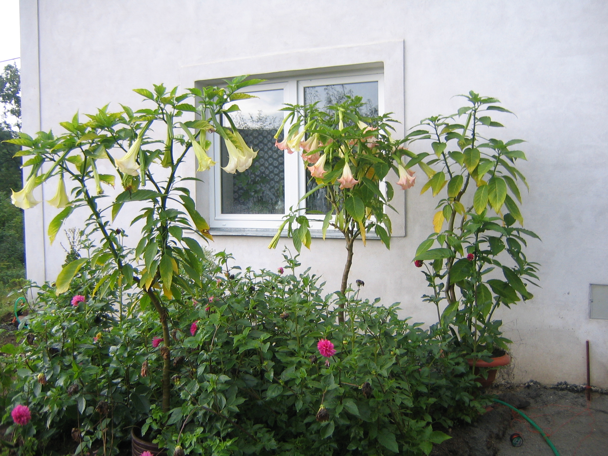 6.8.2006 141.jpg