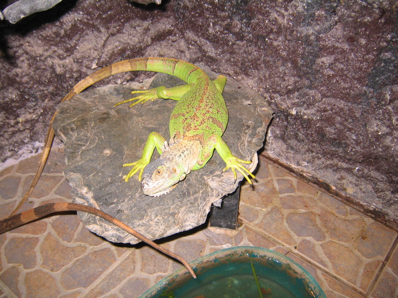 IMG_3248.JPG
